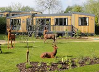 New Forest Holidays at Sandy Balls