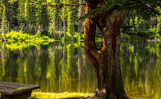 Creswell Crags image