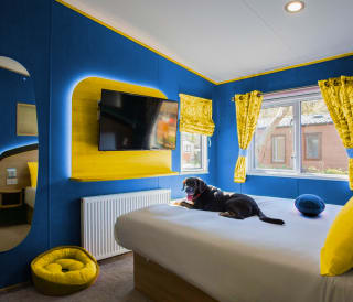 Pawsome Staycations image