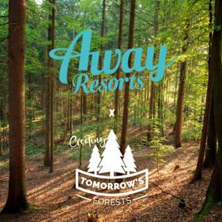 Creating Tomorrow's Forests image
