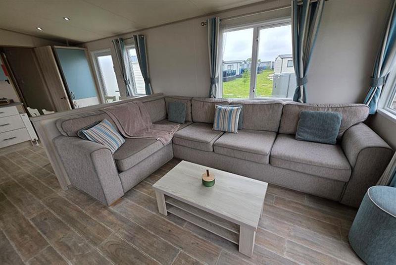 Beachcomber image