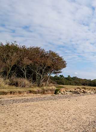 The 10 best beaches in Essex