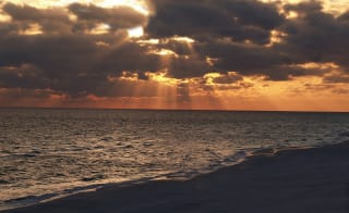 The Naze Beach image