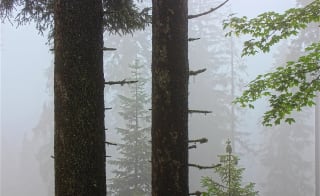 Giants Trail image