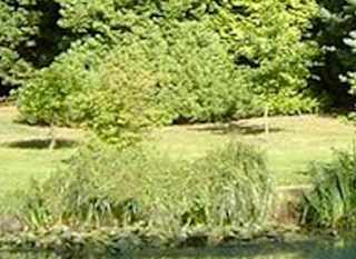Furzey Gardens image