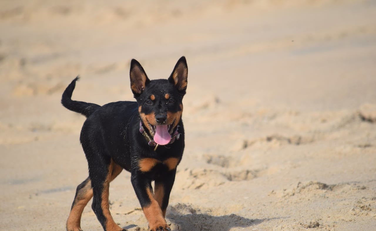 Mablethorpe Beach image