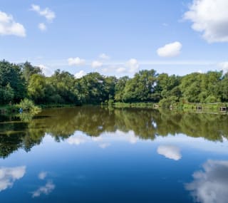 Fishing at Woodland Lakes image