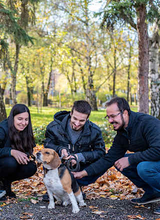 two women and two men are pictured with a medium sized dog. One woman is in a wheelchair and the others are crouched down petting the dog.
