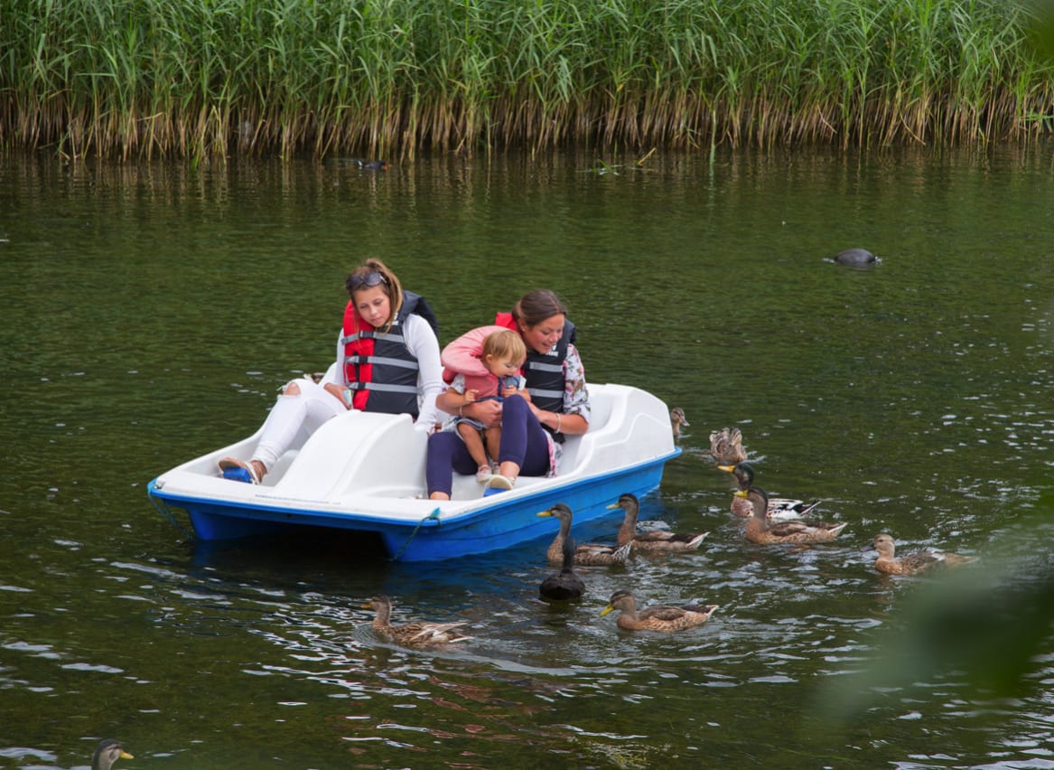 A family enjoying a ride on the pedalos at one of our holiday parks. There are ducks swimming in the lake. image