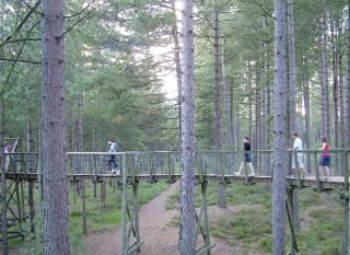 A family walking across a bridge at the Moors Valley Country Park in Hampshire. image