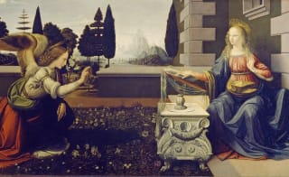 The Museum Of Curiosities image