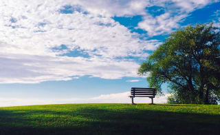 Dundee Law image