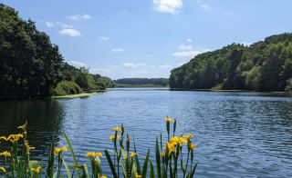 Clumber Park image