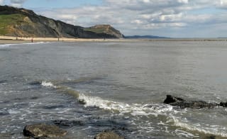 Fossil Hunting at Charmouth image