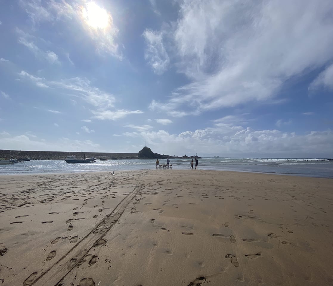 Dog friendly beaches in Bude