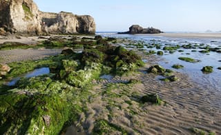 Perranporth tidal pool image