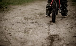 Marsh Tracks image