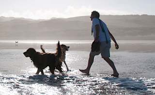 Carbis Bay Beach image