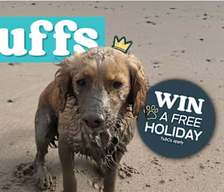 Scruffbags assemble image