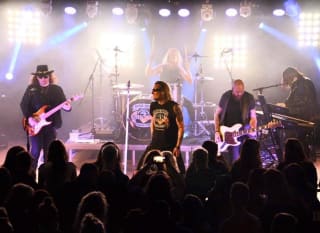 A band of 4 adult men are on stage playing a song with a cheering crowd. image
