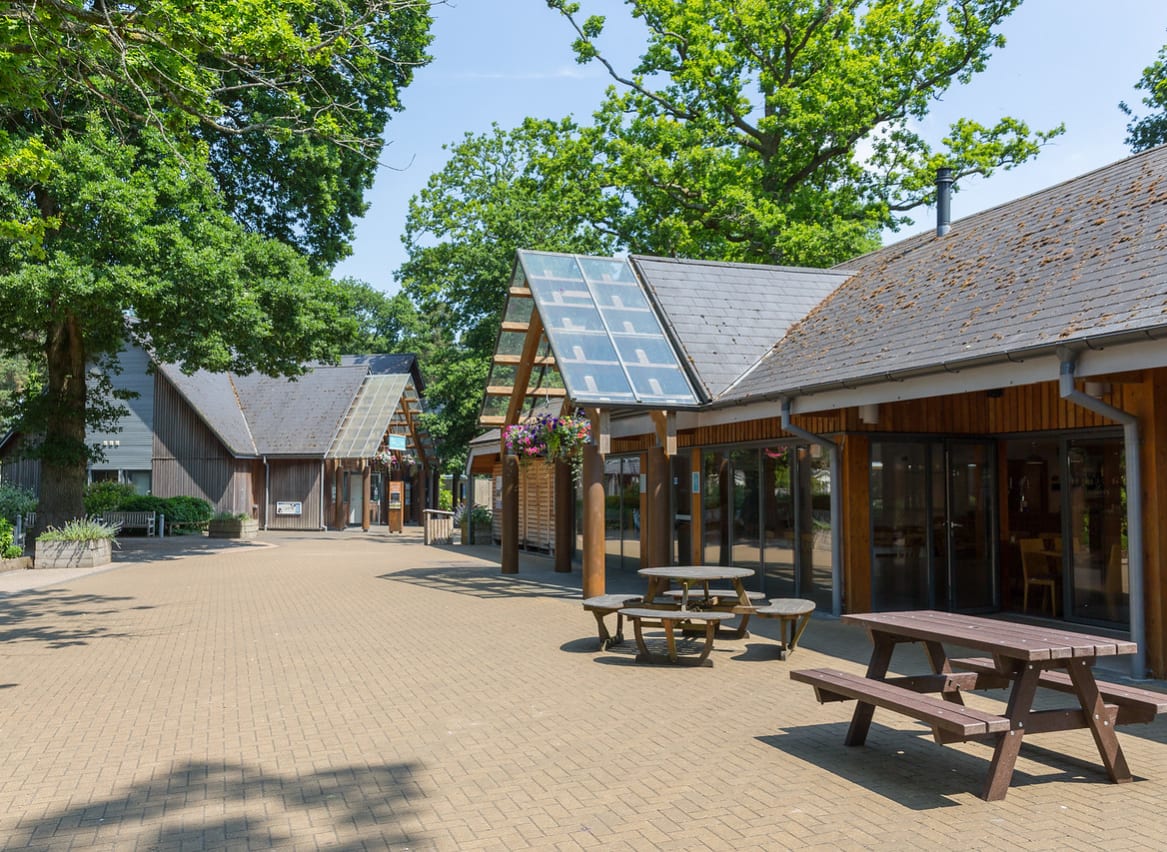 Our fantastic facilities at Sandy Balls on a summers day. image