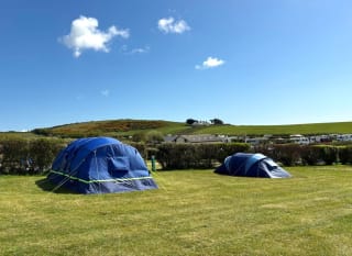 Grass Electric Pitch image