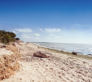 A hot summers day at the beach on Mersea Island, Essex. Book your caravan holiday with us. image