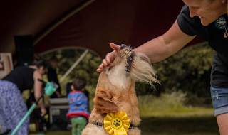 A dog winning a competition.