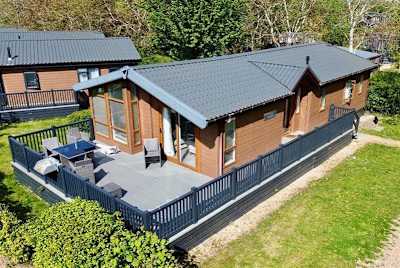 New Forest Grove image