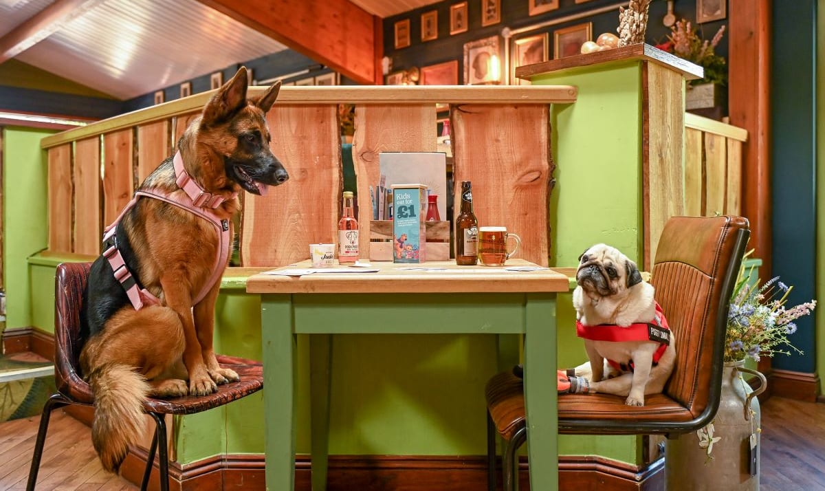 The Dog’s Frolics: Away Resorts opens UK’s first pub for dogs image