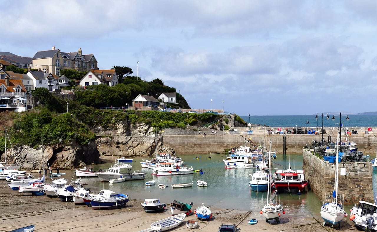 Newquay Sea Safaris and Fishing, Newquay image