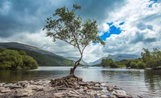Snowdonia (Eryri), North Wales image