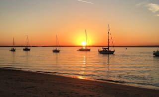 Nutbourne Marshes and Cobnor Peninsula image