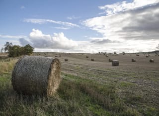 Abbotts Hall Farm image