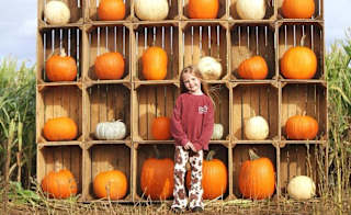 Tattershall Pumpkin Patch image