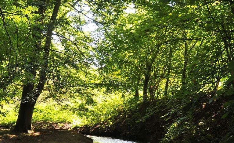 Hubbards Hills, Louth image