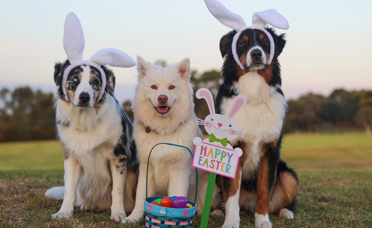 Easter Sunday celebration image