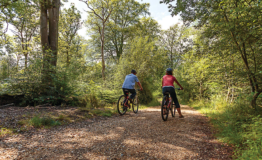 Burley Hill Fort route image