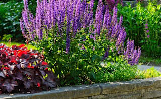 Median Garden Centre, Wootton image