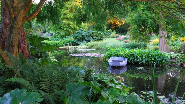 Beth Chatto’s Plants & Gardens