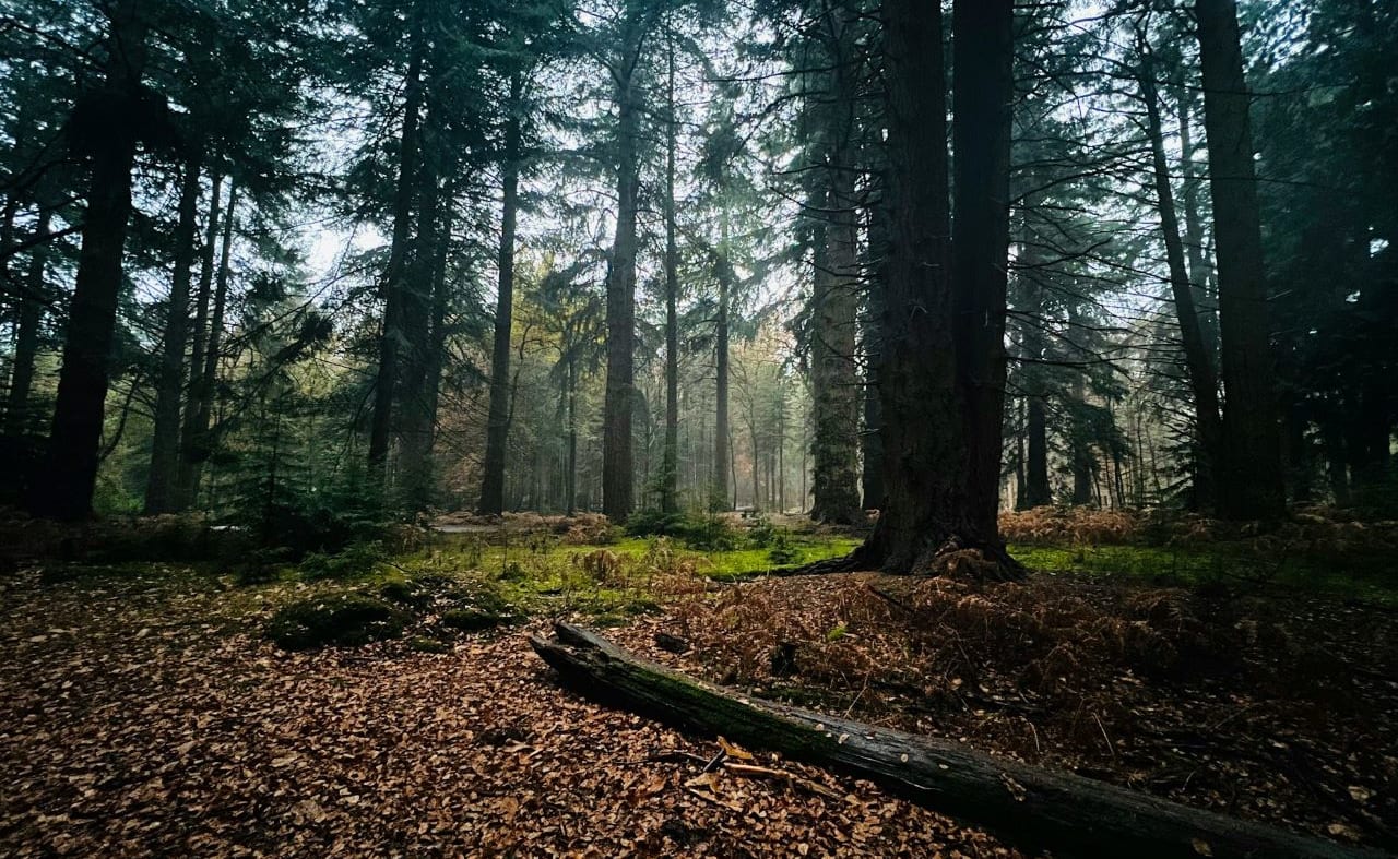 Blackwater Trails image