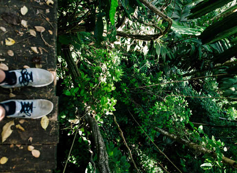 Go ape sherwood image