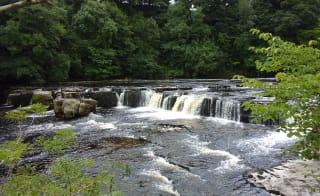 Aysgarth woods and waterfalls image