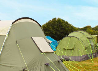 Two tents pitched at one of our holiday parks. image