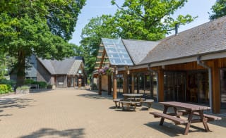 Our fantastic facilities at Sandy Balls on a summers day. image