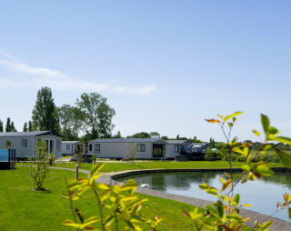 Hampshire image