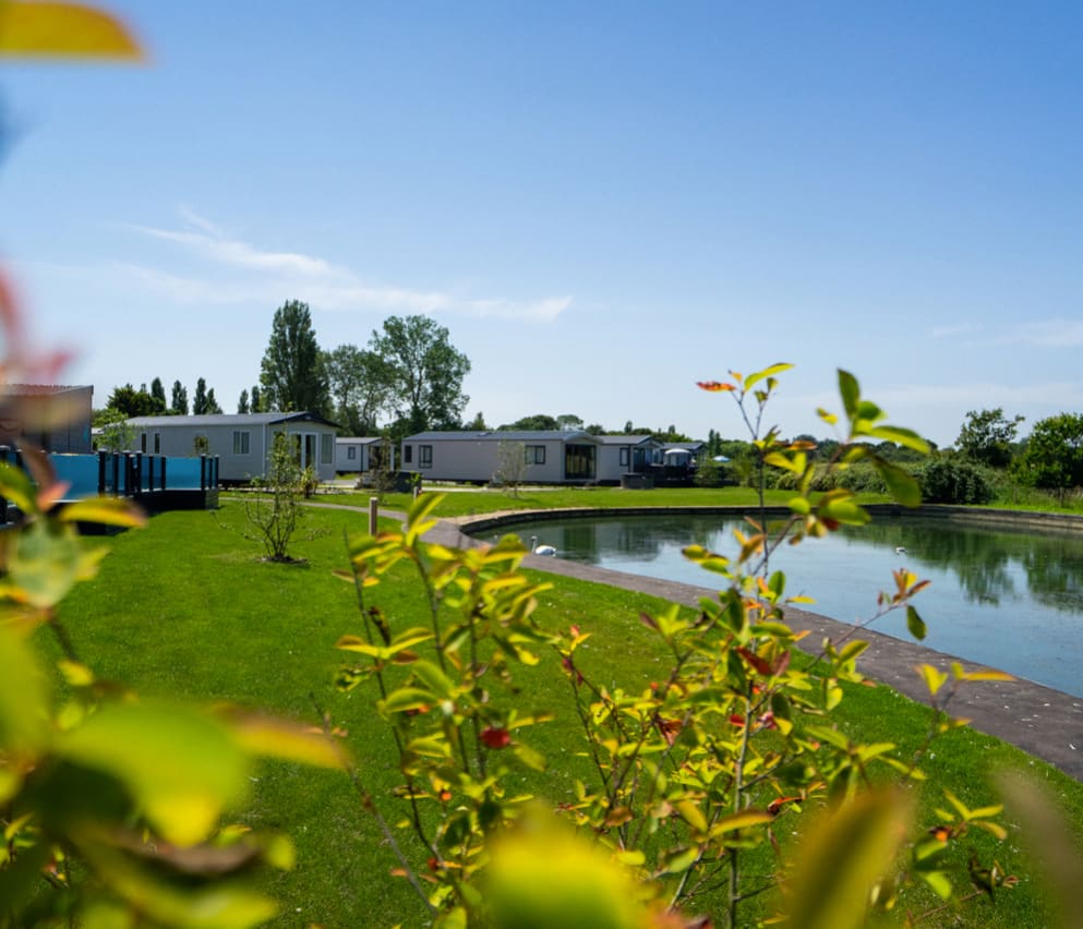 A view framed by trees with holiday caravans in the background, with a small lake in front.