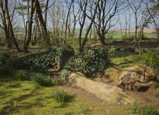 The Lost Gardens of Helligan image