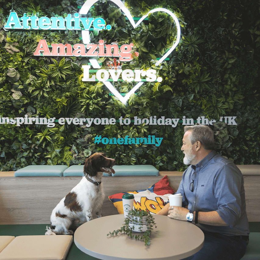 Welcoming Furry Friends to the Ultimate Staycation Experience! image
