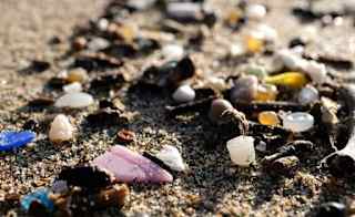 Read more about Surfers Against Sewage image